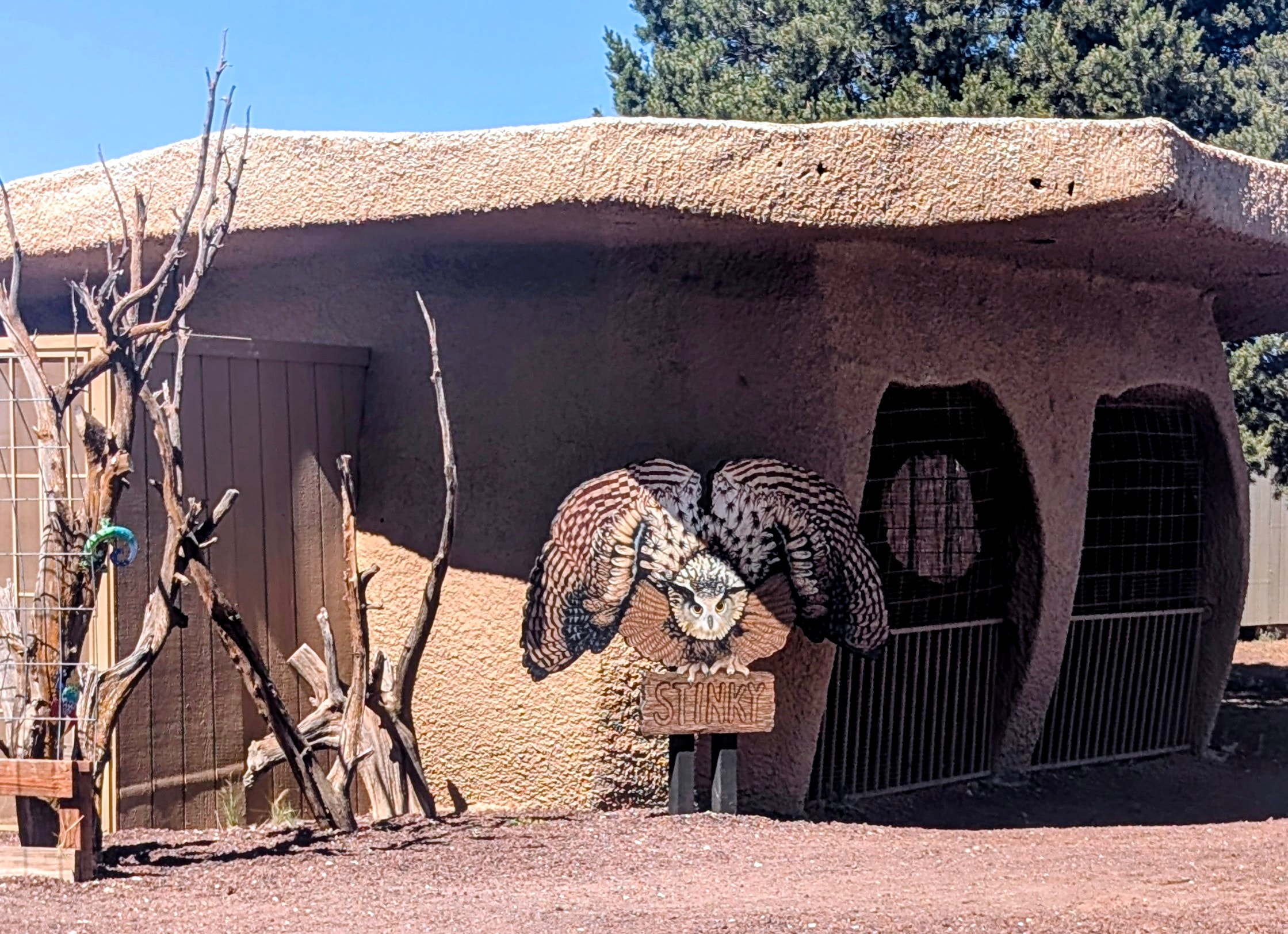 Stinky's owl cage building at Raptor Ranch, Valle Arizona